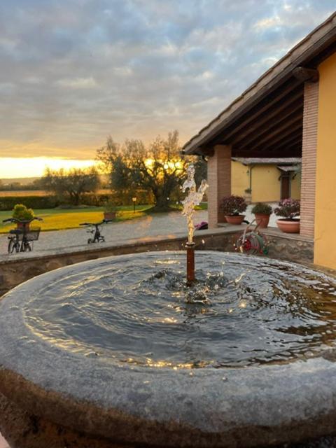 Agriturismo Arlena Болсена Екстериор снимка